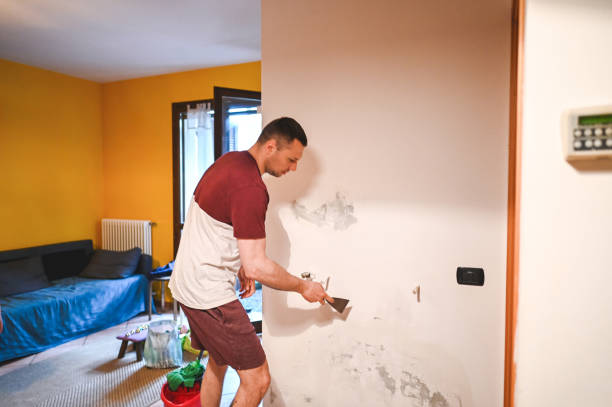 Best Certified Mold Removal  in Naples, UT