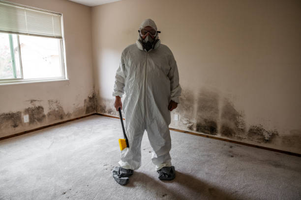 Best Emergency Mold Removal  in Naples, UT